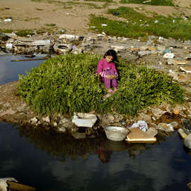 La nature dans le camp